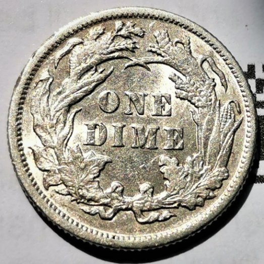 1891-Seated-Liberty-Dime!-Repunched-Date?-Grading-Opinion!
