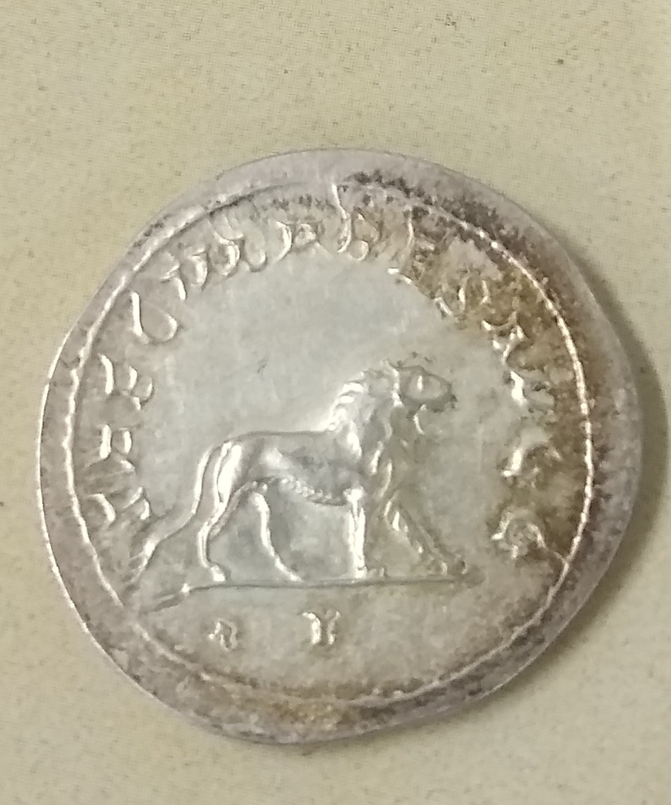 Fake-Ancient-Coins?-After-My-Last-Post,-My-Curiosity-Is-Sparked!