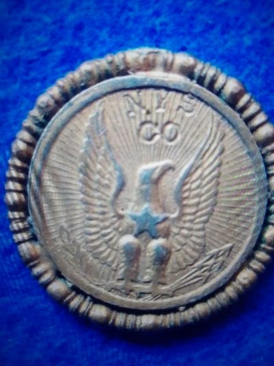 Nys-CO-Radiant-Eagle
