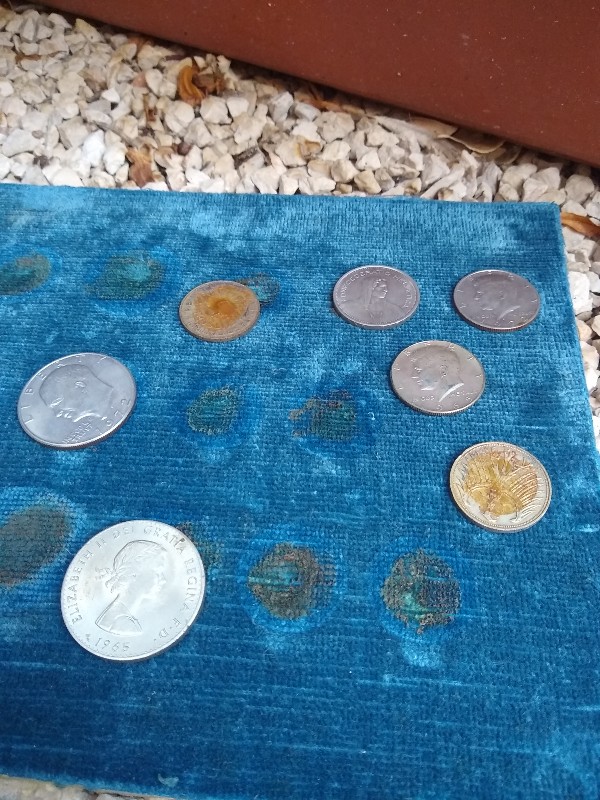 Thoughts,-Advice,-Reactions-To-Some-Oddly-Framed-Coins.