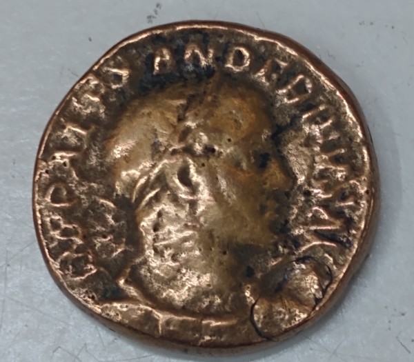 Some-Ancients-I-Saw-At-A-Shop-Today.