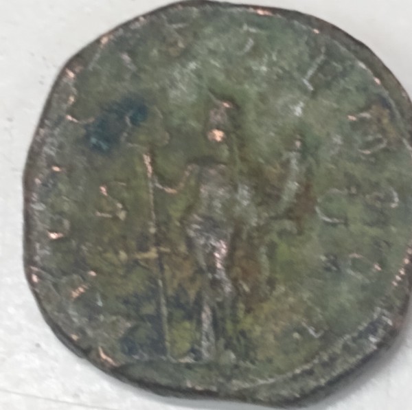 Some-Ancients-I-Saw-At-A-Shop-Today.