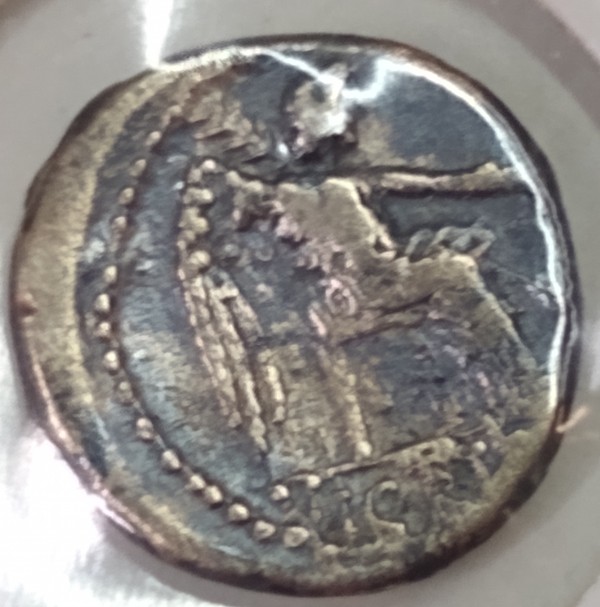 Help-Authenticating-Two-Roman-Republic-Coins-Flaminius-And-Porcius