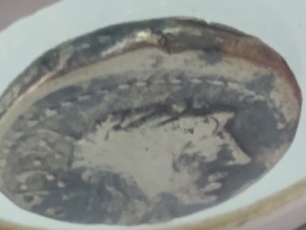 Help-Authenticating-Two-Roman-Republic-Coins-Flaminius-And-Porcius