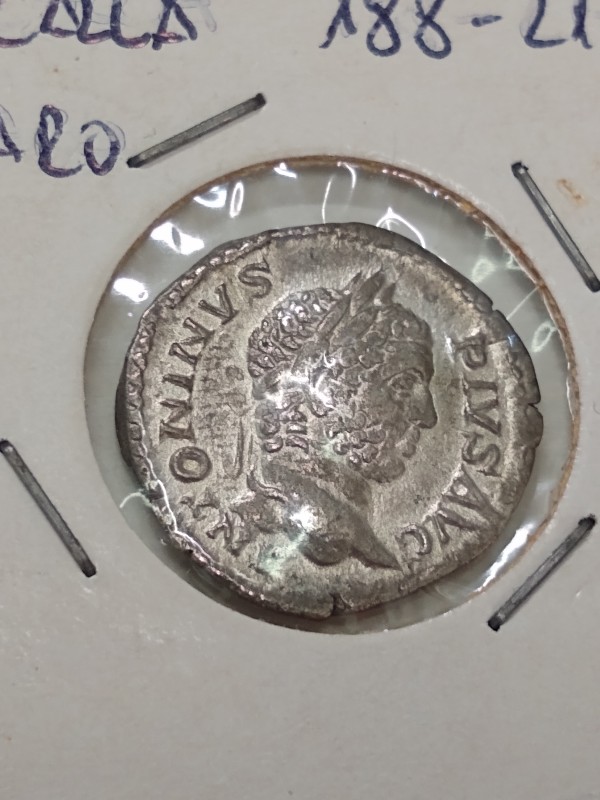 Types-Of-Ancients-I-See-At-Non-Ancient-Dealer-Shops-In-Rome