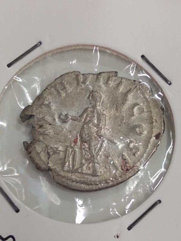 Types-Of-Ancients-I-See-At-Non-Ancient-Dealer-Shops-In-Rome
