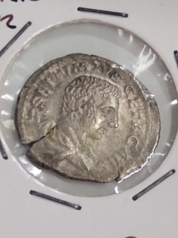 Types-Of-Ancients-I-See-At-Non-Ancient-Dealer-Shops-In-Rome