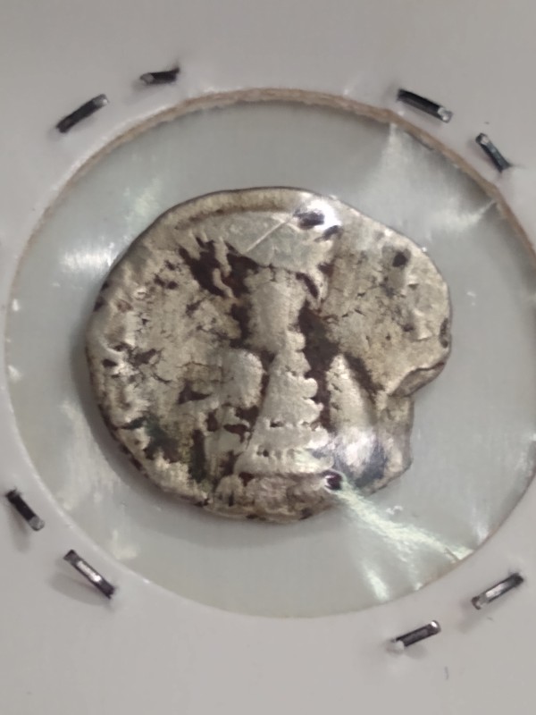 Types-Of-Ancients-I-See-At-Non-Ancient-Dealer-Shops-In-Rome