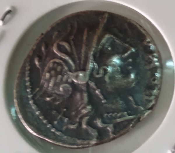 Help-With-Cn-Domitius-Ahenobarbus,-Silver-Denarius-Of-116-115-BC