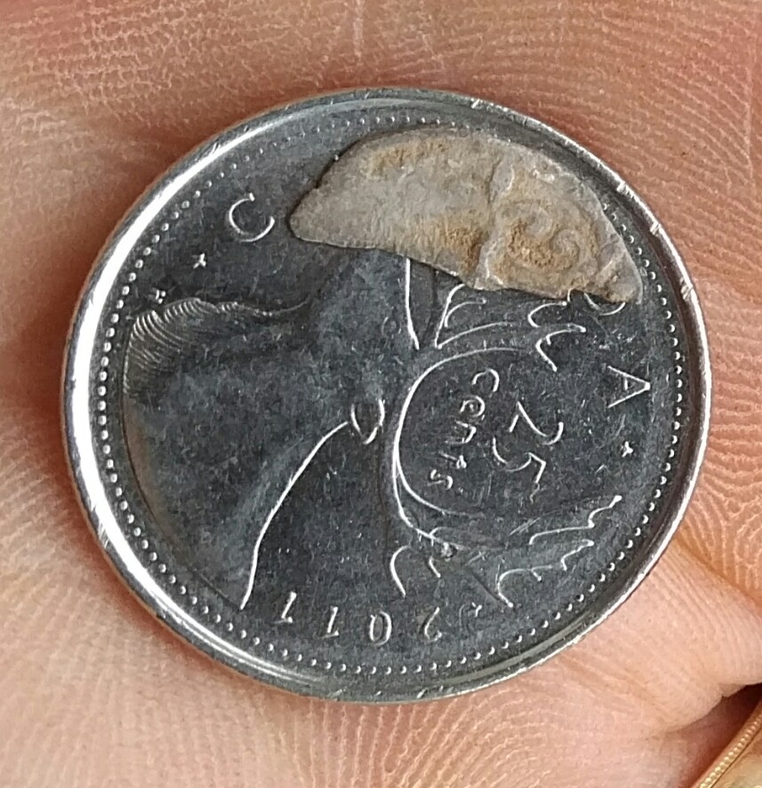Stumped...most-Likely-French?