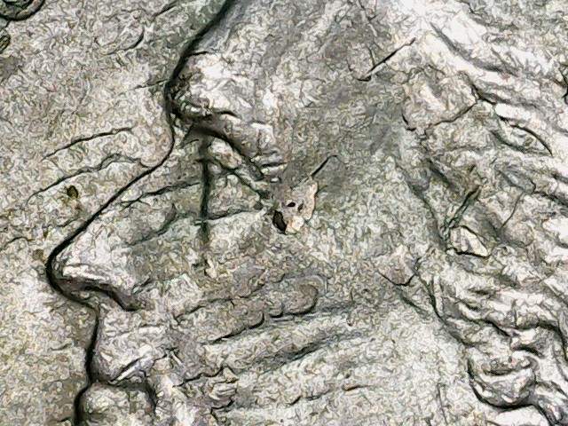 What-The-Heck-Is-Going-On-With-This-2004-D-Jefferson-Nickel?