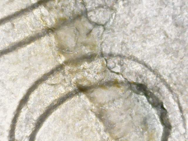 What-The-Heck-Is-Going-On-With-This-2004-D-Jefferson-Nickel?