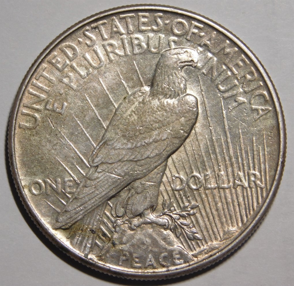 1934-Peace-Dollar---For-Grading