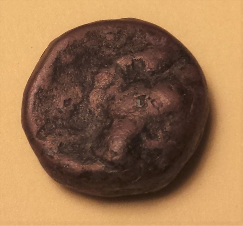 Help-With-Identification-#2