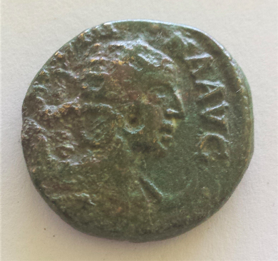 Is-This-Coin-A-Salonina-Coin?