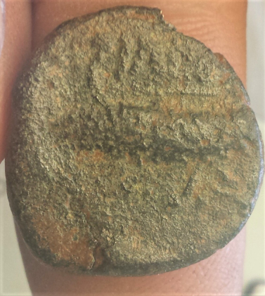 What-In-The-World-Is-On-The-Reverse-Of-This-Coin?