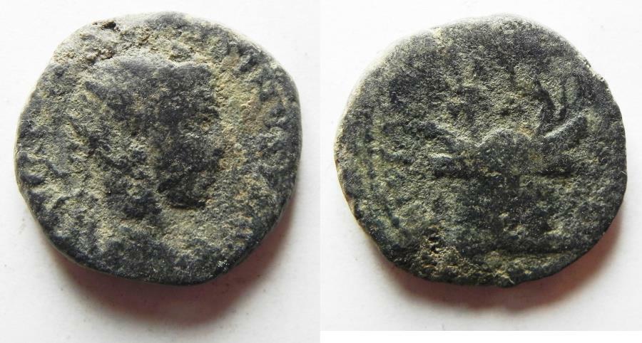 Can-Someone-Tell-Me-What-Is-On-The-Reverse-Of-This-Coin?