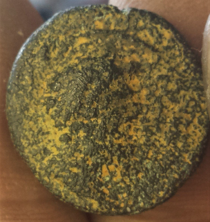 Need-Help-Identifying-Two-Headed-Coin.