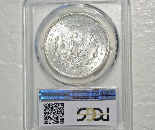 1894-Morgan-Silver-Dollar---What's-Your-Grade?