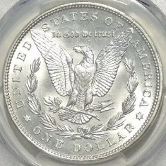 1894-Morgan-Silver-Dollar---What's-Your-Grade?