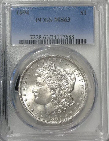 1894-Morgan-Silver-Dollar---What's-Your-Grade?