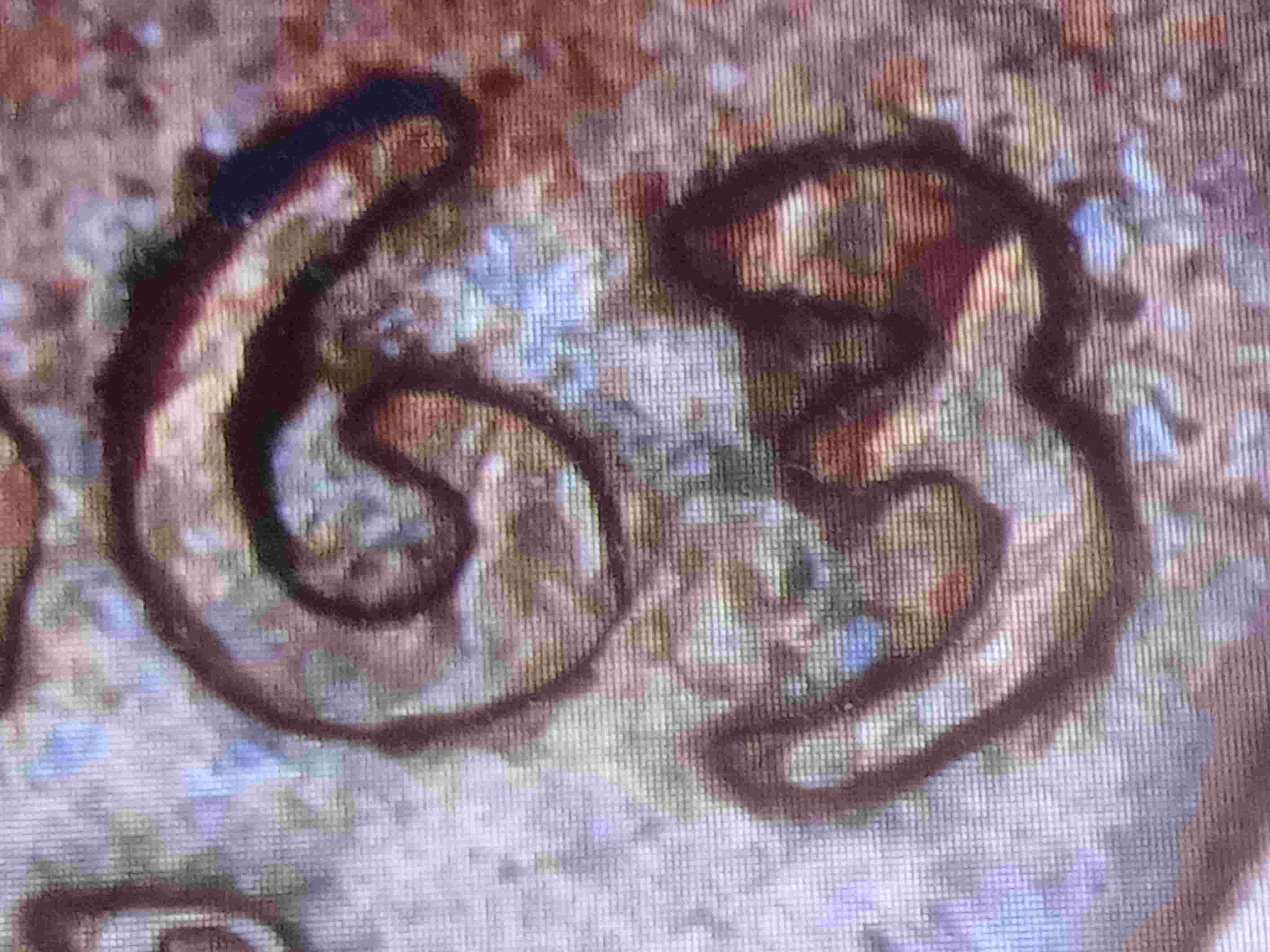 1963-Denver-Lincoln-Cent-RPM