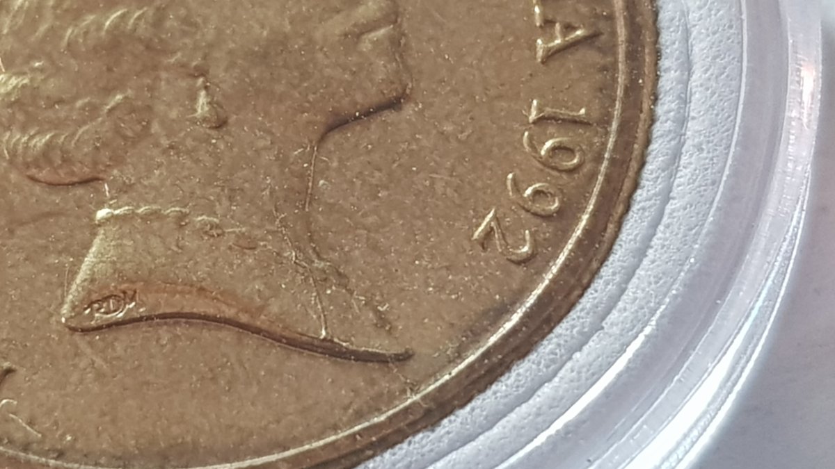 Opinions?-Could-Actually-Be-Very-Rare.