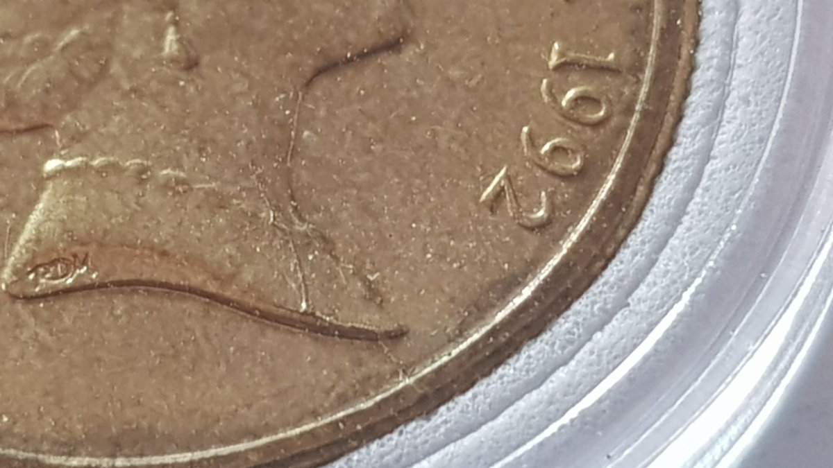 Opinions?-Could-Actually-Be-Very-Rare.