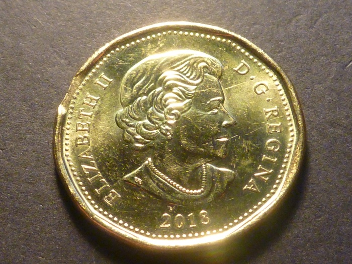 2018-Loon-Dollar-Error