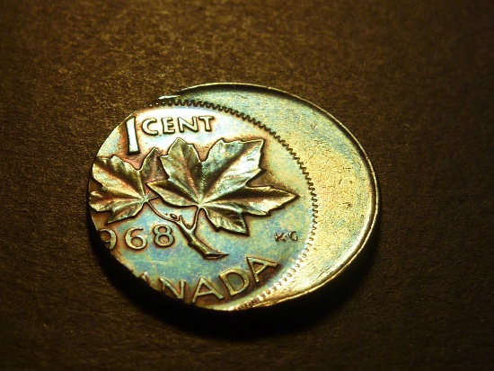 Grading-An-Error-Coin---You-Versus-A-Third-Party-Grader