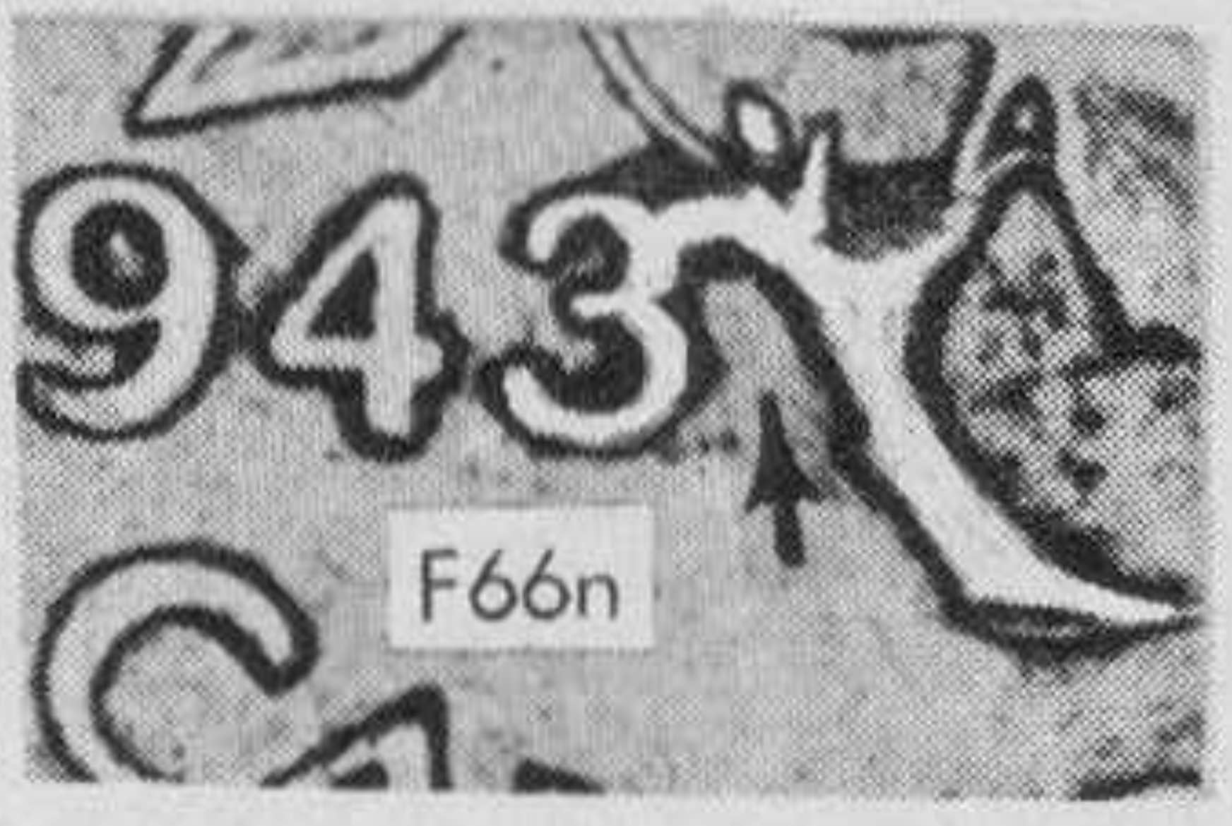 1943-Kg-Birds-Nest,--Zoell-#e66n-Pic's-Please-Of-Your's