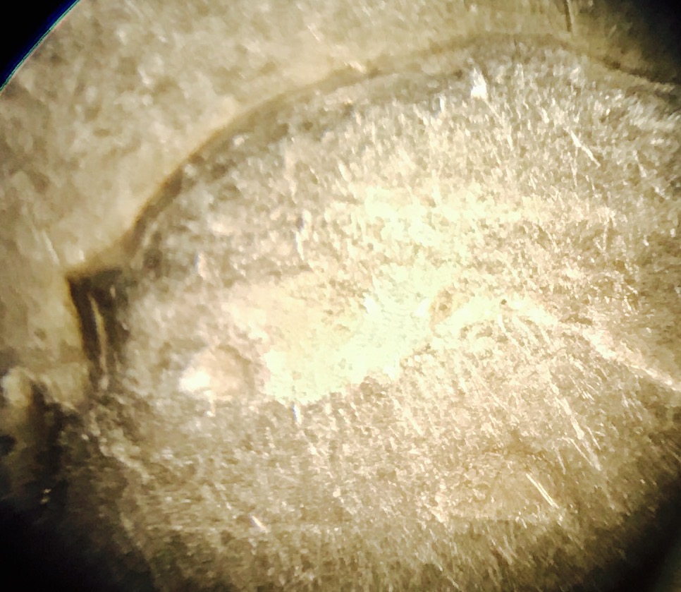 1961-Nickel-Thinking-Maybe-MD?