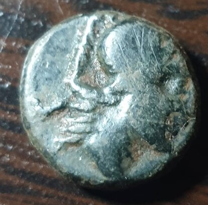 Some-Help-Needed-For-A-Newbie
