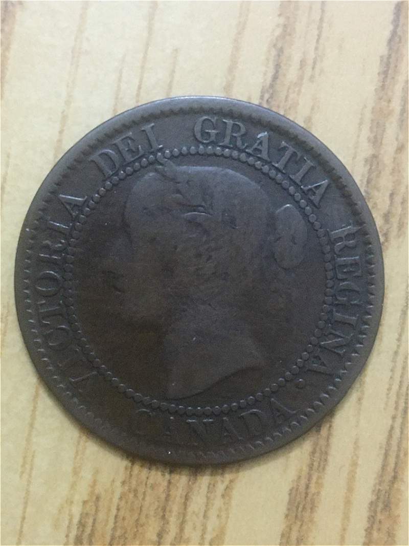 Please-Grade-My-Large-Cents