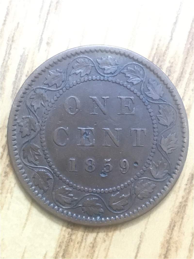 Please-Grade-My-Large-Cents