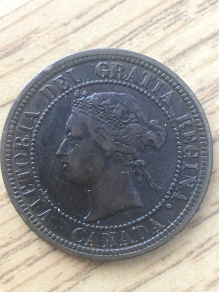 1882-Large-Cent-For-Grading