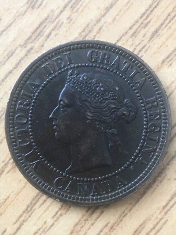 1882-Large-Cent-For-Grading
