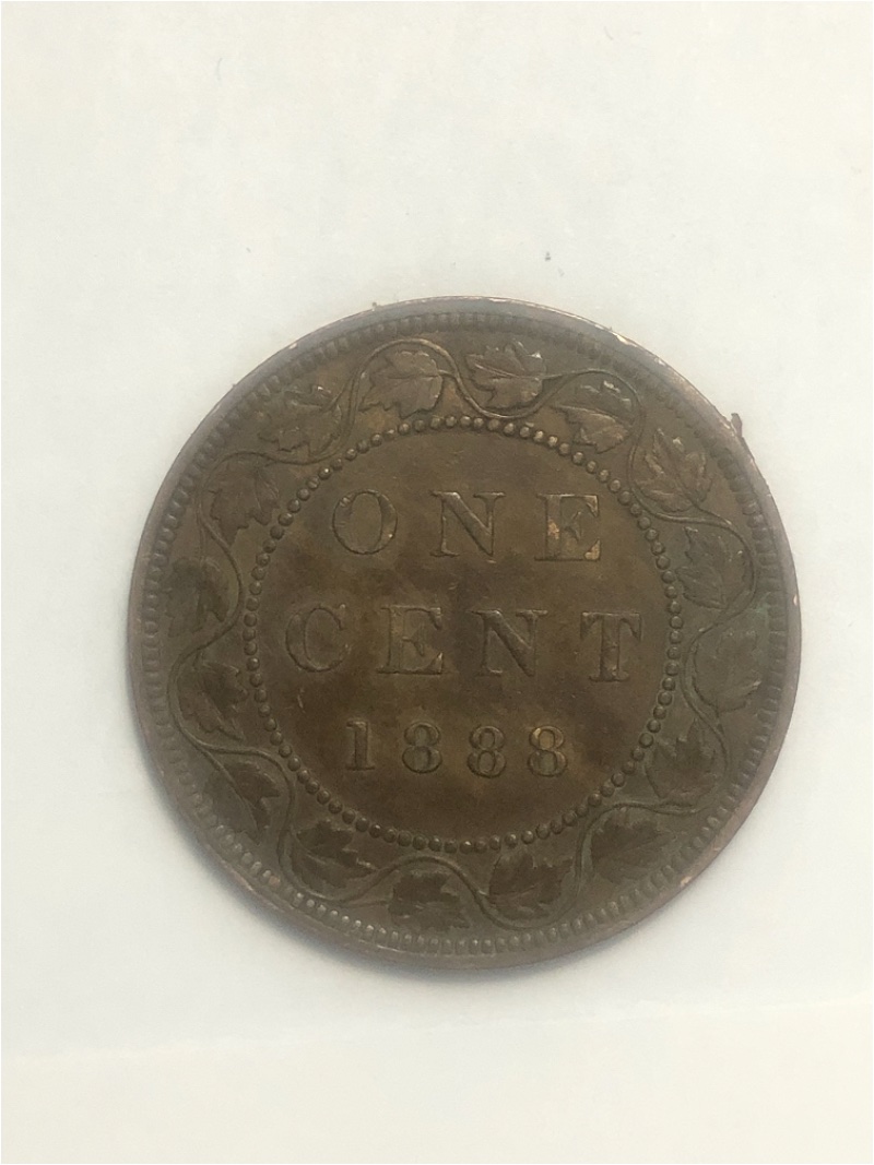 Please-Grade-This-1888-Large-Cent