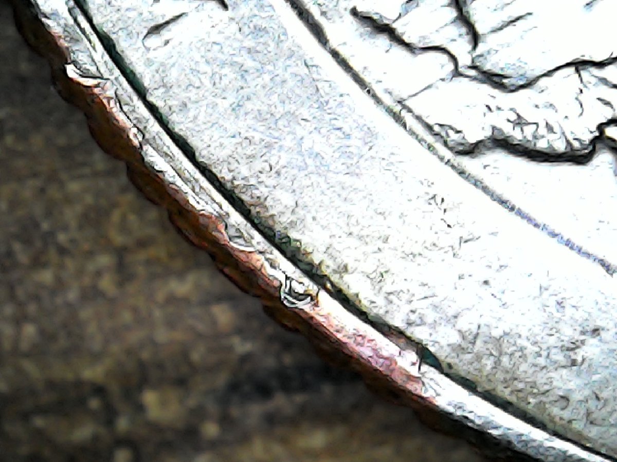 2018-Quarter-Mad-On-The-Obverse-Struck-Through-Retained-Copper-Foil-On-The-Reverse?