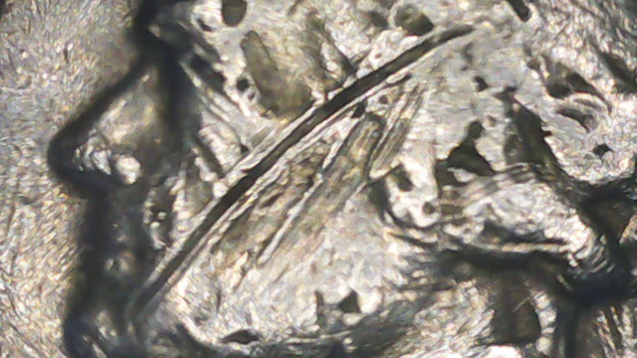 Need-To-Know-Mint-Process-Or-After-Mint-On-1980-Jefferson-Nickel