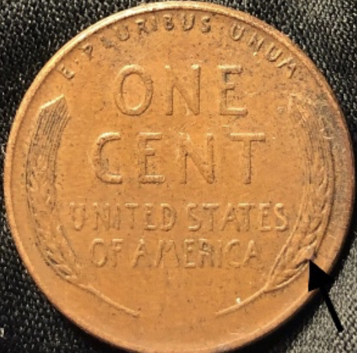 1956-LWC---Is-This-A-Die-Chip-Or-Die-Break-On-Wheat-Stalk!