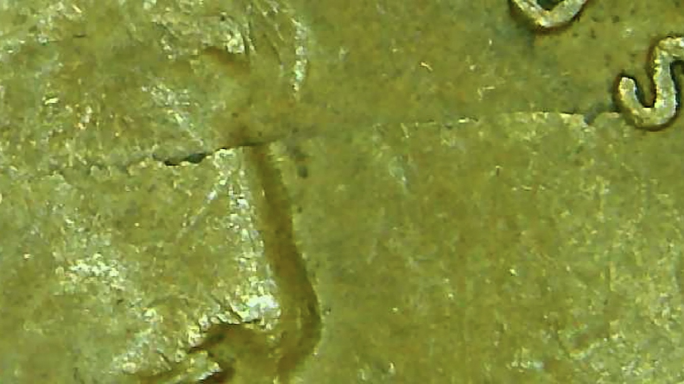 1941-Lincoln-Wheat-Cent--Die-Clash?-At-First-Glance-Looked-Like-Lam?-Runs-From-End-To-End-Of-Coin?