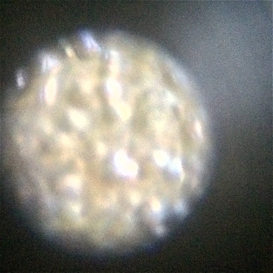Strange-Metal-Bumps-On-A-1991-D-Lincoln-Cent.