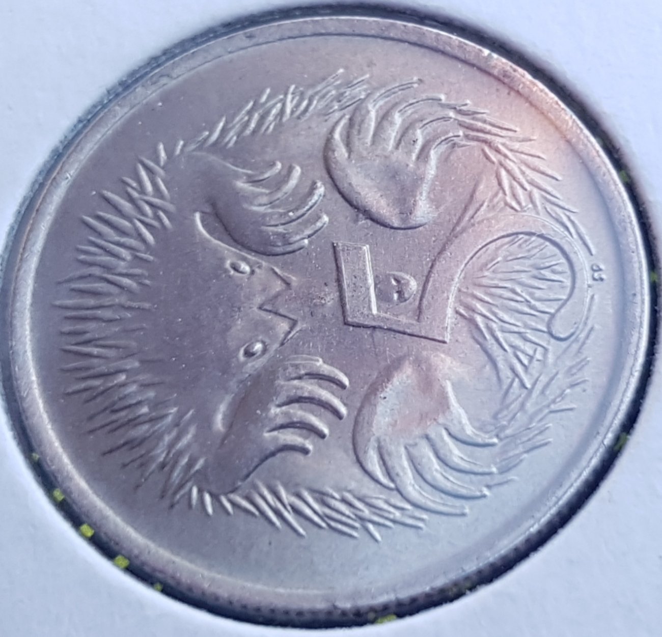 Post-Your-Australian-Circulation-Finds