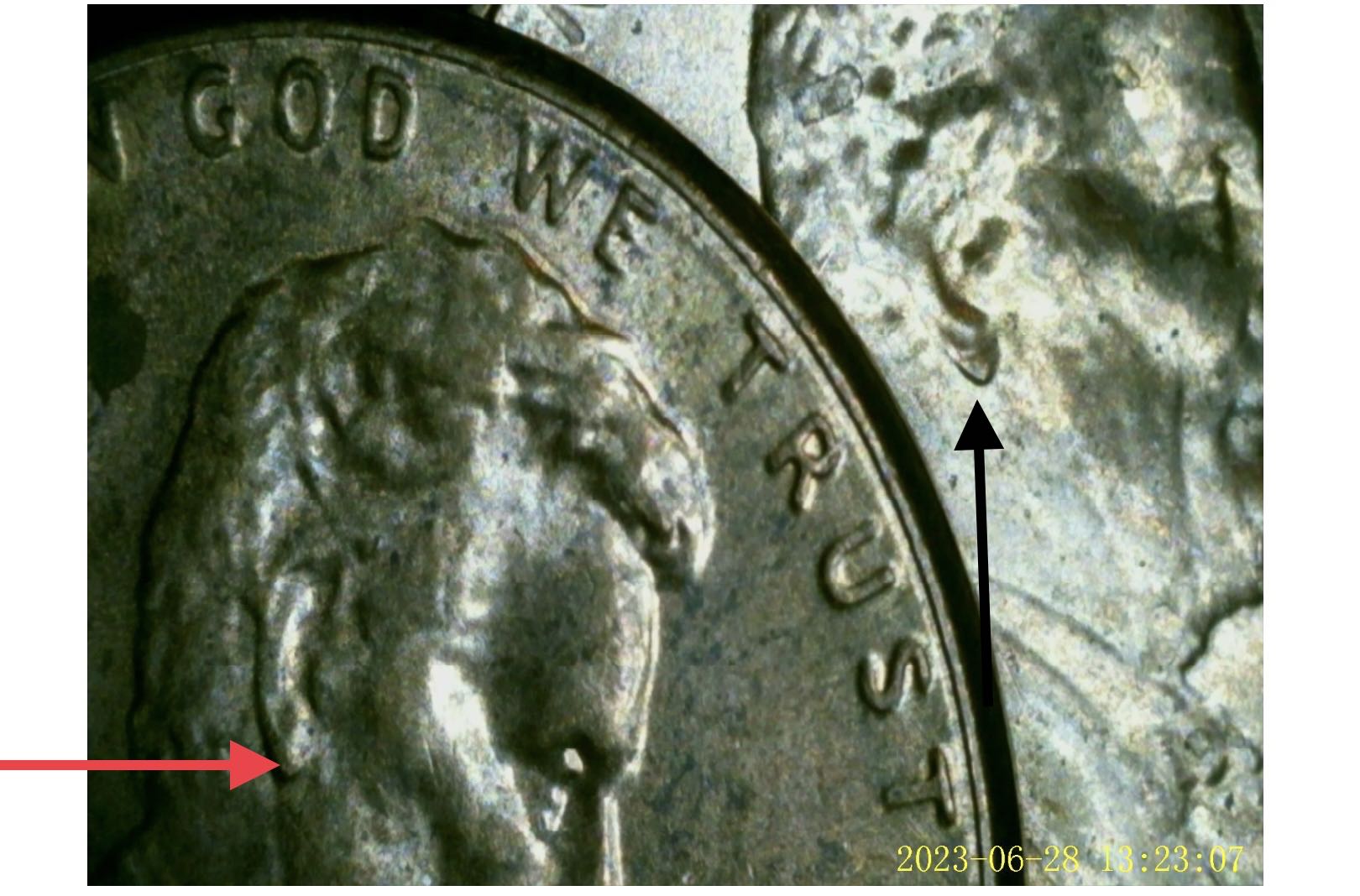 2020-Penny-Ear-The-Same-Or-Is-One-Different