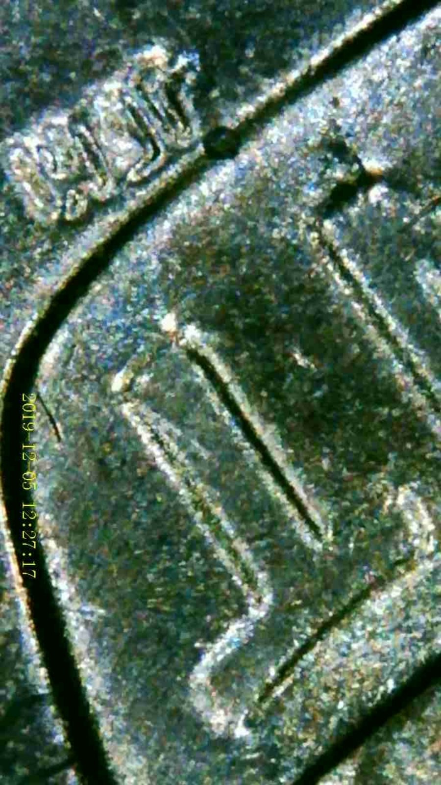 Need-Help-On-Possible-DDR-Of-2019-D-Shield-Penny