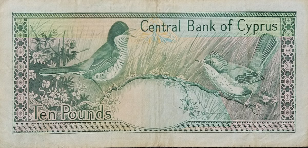 Post-Your-Avian-Notes!