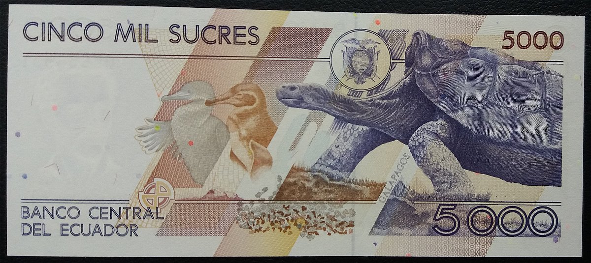 How-Far-Back-Can-We-Go?---With-Banknotes!-Second-Edition!
