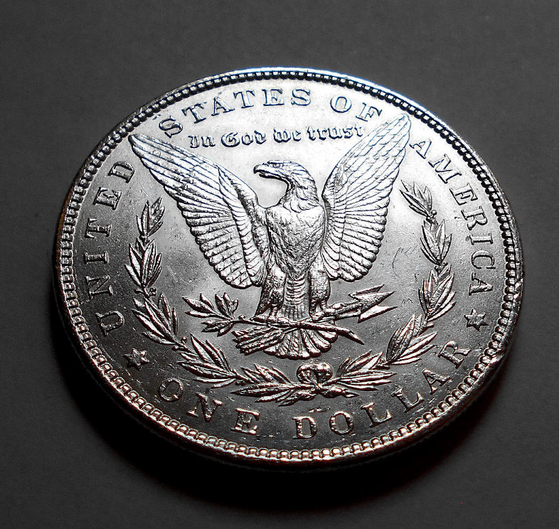 Both-Of-These-Morgans-Look-Odd-To-Me.-Opinions-Please.