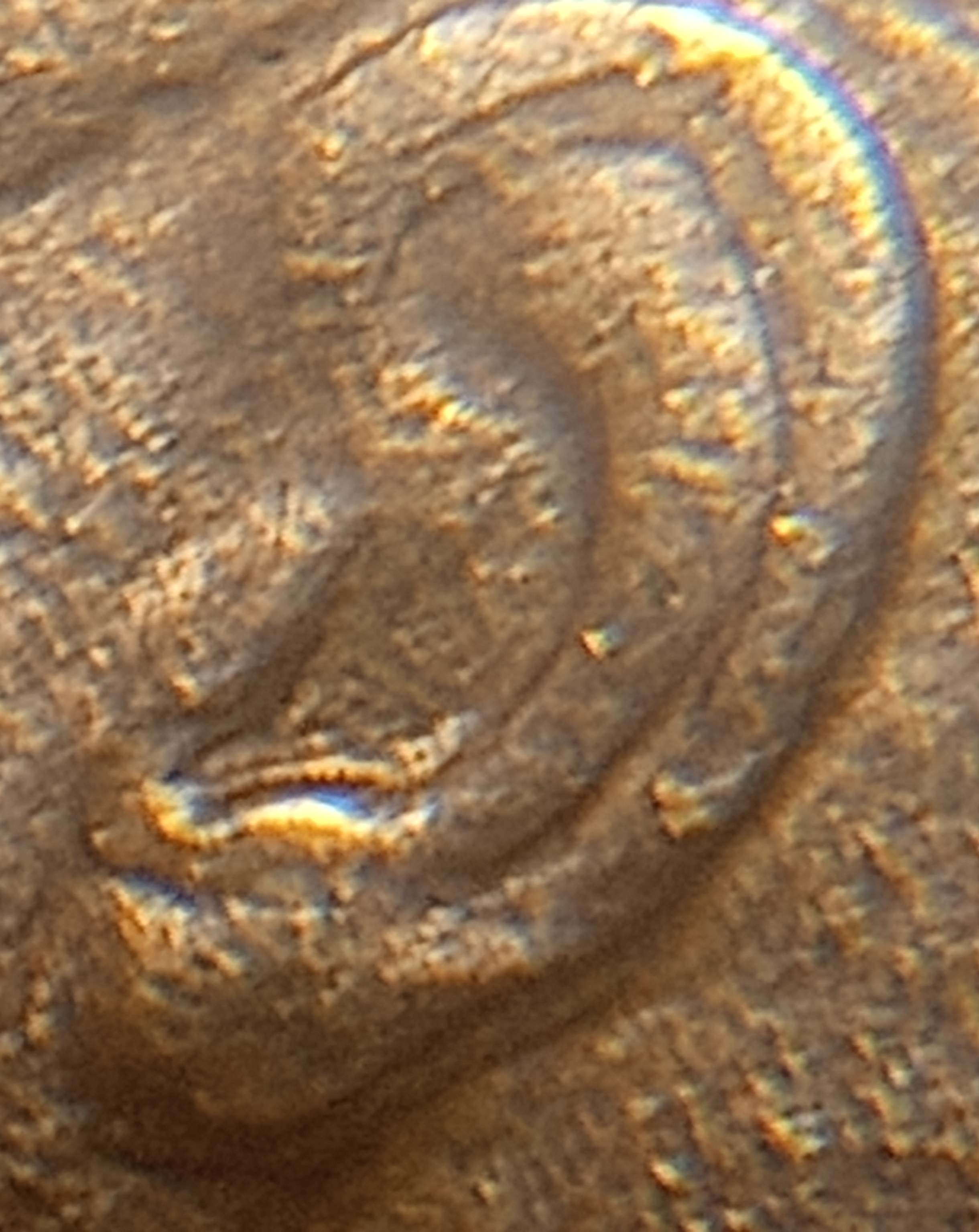 I-Found-A-1984-D-Roosevelt-Dime-With-Doubling-On-The-Ear